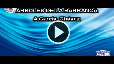 Karaoke Arboles de la barranca - Antonio Aguilar