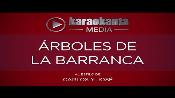 Karaoke Árboles de la barranca - Carlos Y Jose