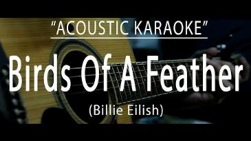 Karaoke Birds Of A Feather Billie Eilish