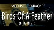 Karaoke Birds Of A Feather - Billie Eilish