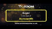 Karaoke Cryin - Aerosmith