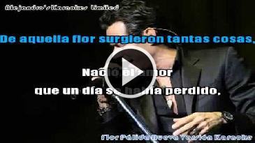 Karaoke Flor pálida - Marc Anthony