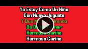 Karaoke Hermoso cariño - Vicente Fernandez