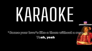 Karaoke Hole In My Soul Aerosmith